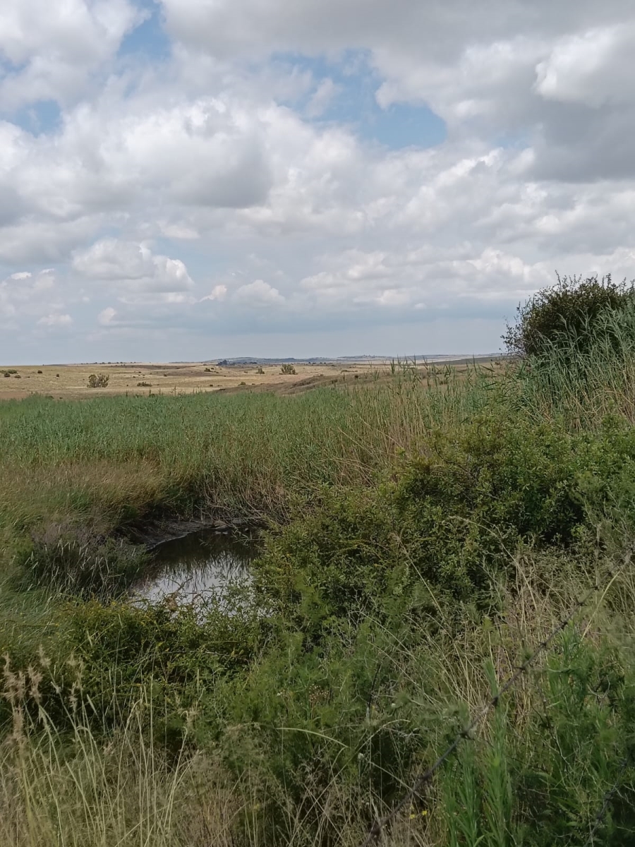 0 Bedroom Property for Sale in Lindley Rural Free State